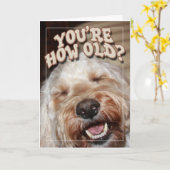 Carte Vous êtes combien vieux ? (Fleur jaune)