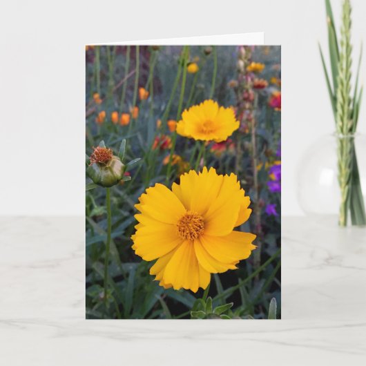 Carte Vous êtes dans mes pensées Cosmos Orange Photograp (Devant)