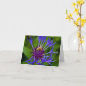 Carte Vous êtes doux comme salutation au miel (Fleur jaune)
