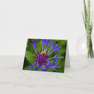 Carte Vous êtes doux comme salutation au miel