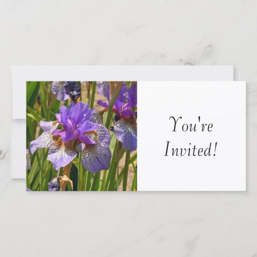 Carte Vous êtes invités (Devant)