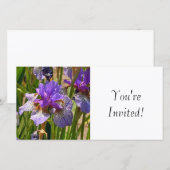 Carte Vous êtes invités (Devant / Derrière)