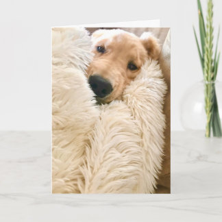 Carte Vous êtes jamais seul Golden Retriever Replié