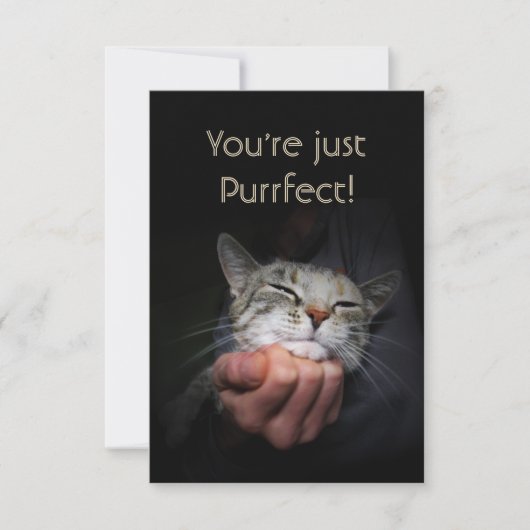 Carte Vous êtes juste Purrfect (Devant)