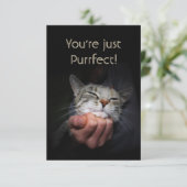 Carte Vous êtes juste Purrfect (Debout devant)