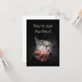 Carte Vous êtes juste Purrfect (Devant/Arrière en situation)