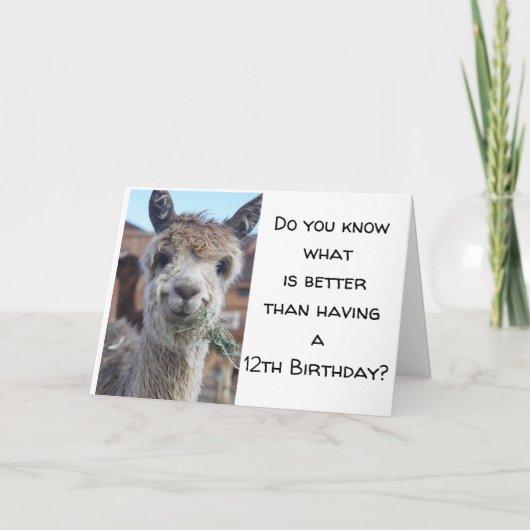 Carte "VOUS ÊTES MAINTENANT UN "ADOLESCENT* HEUREUX 13e (Devant)