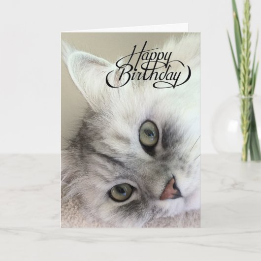 Carte Vous êtes Meowvelous Birthday Card (Devant)