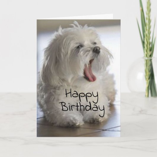 CARTE VOUS ÊTES MON **VETERINAIRE PRÉFÉRÉ** ANNIVERSAIRE (Devant)
