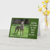 CARTE VOUS ÊTES "SPÉCIAL" ET AUSSI "VOTRE ANNIVERSAIRE" (Fleur jaune)