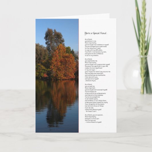 Carte Vous êtes un ami spécial... (Devant)