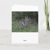 Carte Vous/lapin manquant (Dos)