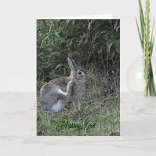 Carte Vous/lapin manquant