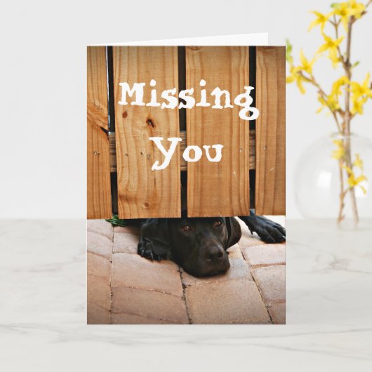 Carte Vous manquant (laboratoire noir) (Fleur jaune)