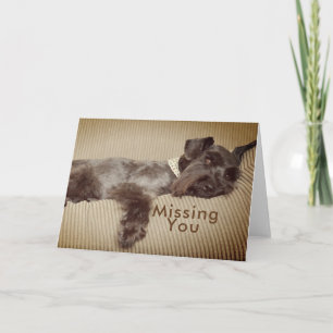 Carte Vous manquant Schnauzer miniature noir