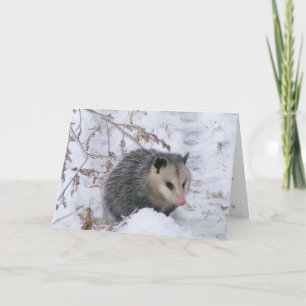 Carte Vous Manquante