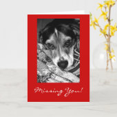 Carte Vous manquer ! (Fleur jaune)