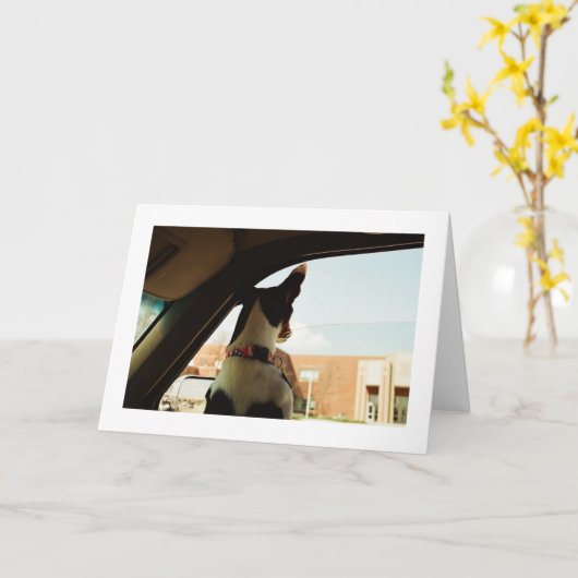 CARTE VOUS MANQUER (Fleur jaune)