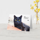 Carte Vous manquer Halloween, chat noir avec l'araignée (Fleur jaune)