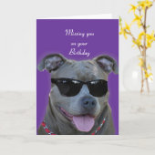 Carte Vous manquer sur votre pitbull de bleu (Fleur jaune)