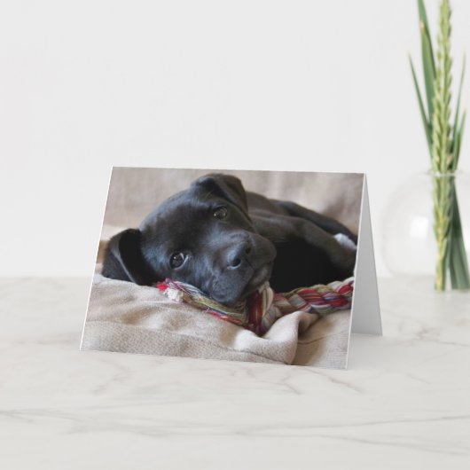 Carte Vous Manquez ! (Devant)