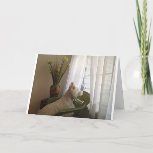 Carte Vous Manquez... (Devant)