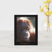 Carte Vous manquez... (Fleur jaune)