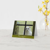 Carte Vous manquez - Chat à la fenêtre (Fleur jaune)