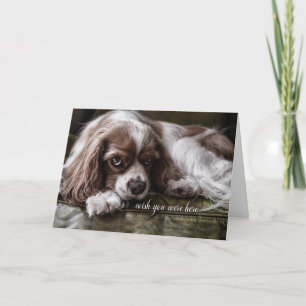Carte Vous Manquez Cocker Spaniel Dog Triste Regarder