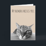 Carte Vous Manquez Du Chat Funny<br><div class="desc">This design created though digital art. It may be personalized in the area provide or customizing by choosing the click to customize further option and changing the name, initials or words. Donc, change le texte color and style or delete the text for an image only design. Contact me at colorflowcreations@gmail.com...</div>