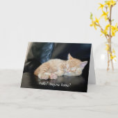Carte Vous manquez mignonne Orange Kitten Card N'importe (Fleur jaune)
