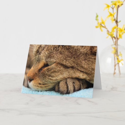 Carte Vous Manquez Vraiment Chat (Fleur jaune)