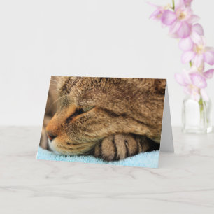 Carte Vous Manquez Vraiment Chat