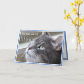 Carte Vous m'avez eu à Meow Happy Anniversary Cute Cat (Fleur jaune)