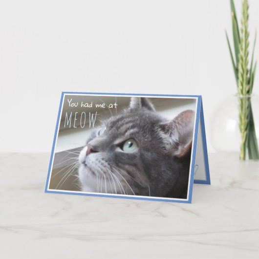 Carte Vous m'avez eu à Meow Happy Anniversary Cute Cat (Devant)