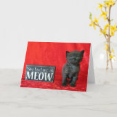 Carte Vous M'Avez Eu À Meow - Pepper (alias Jelly Bean) (Fleur jaune)