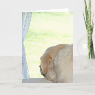 Carte Vous me manquez labo jaune