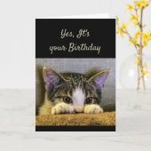 Carte Vous ne pouvez pas cacher C'est votre chaton d'ann (Fleur jaune)