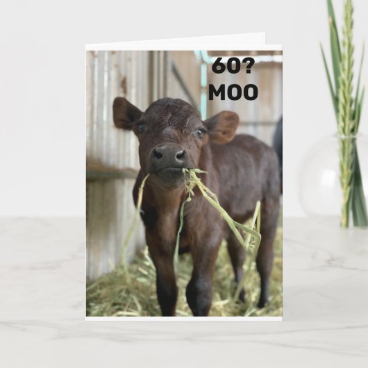 Carte VOUS NE REGARDEZ PAS UNE JOURNÉE SUR 49 "60ème ANN (Devant)