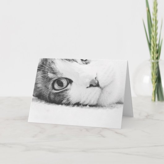 Carte Vous observant, greetingcard vide (Devant)