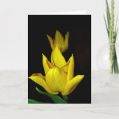 Carte Vous occuper! (Devant)