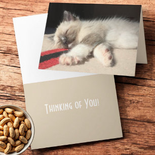 Carte Vous Pensant Dormant Photographie de Chat Siamois