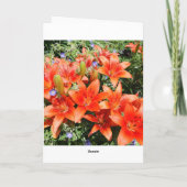 Carte Vous pensez, Orange Lillies (Dos)