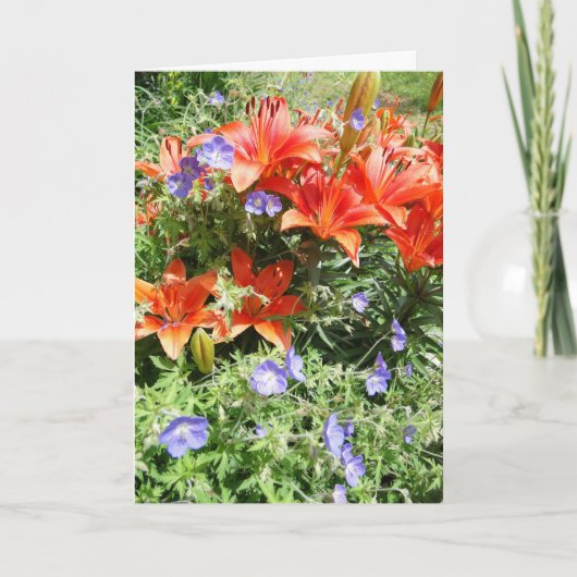 Carte Vous pensez, Orange Lillies (Devant)