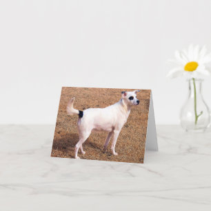 Carte Vous Pouvez Le Faire ! - Haut