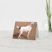 Carte Vous Pouvez Le Faire ! - Haut (Devant)