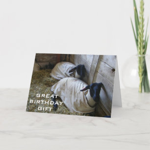 CARTE VOUS RAPPELANT QUE VOUS ÊTES PLUS ÂGÉ D'UN AN