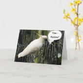 CARTE "VOUS RETIREZ", C'EST DU TEMPS-PLAISIR ! (Fleur jaune)