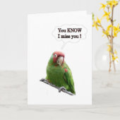 Carte Vous Savez Que Vous Me Manquez (Fleur jaune)