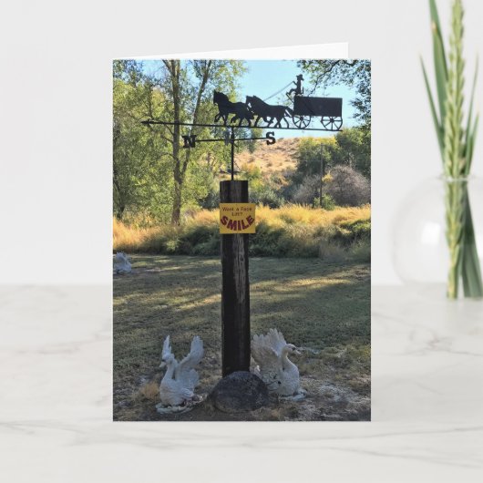 Carte Vous voulez un lifting, sourire, signe drôle (Devant)